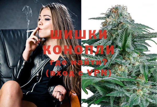 хмурый Корсаков