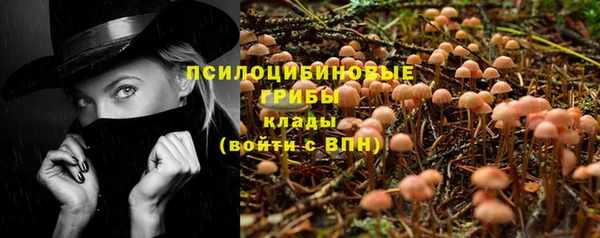 хмурый Корсаков