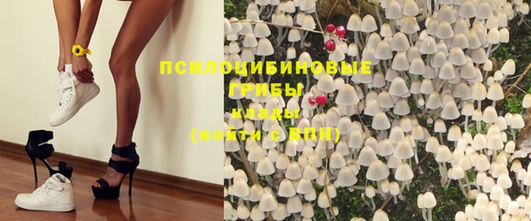 круглые Коряжма