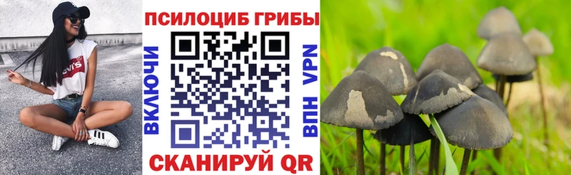 Купить где  Пестово  Галлюциногенные грибы мухоморы 